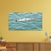 Ein Siegel schwimmt und sonnig Leinwanddruck (Insitu (Wohnzimmer))