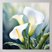 Ein Single elegant Calla Lilie. Poster (Vorne)