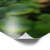 Ein Single Rosa Blume Fotodruck (Ecke)