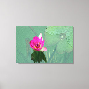 Ein Single rosa Wasserlilie in einem Teich Leinwanddruck