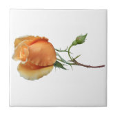 Ein Single Rose Schneiden Fliese (Vorderseite)