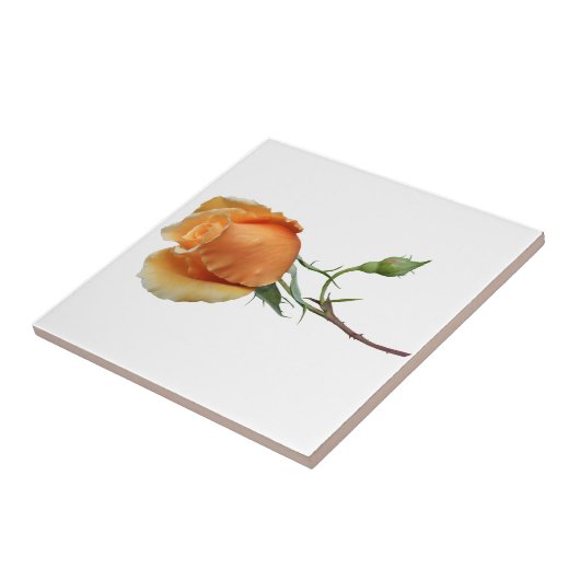 Ein Single Rose Schneiden Fliese (Seite)