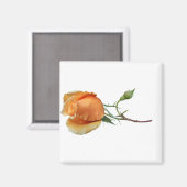 Ein Single Rose Schneiden Magnet (Vorderseite/Rückseite)