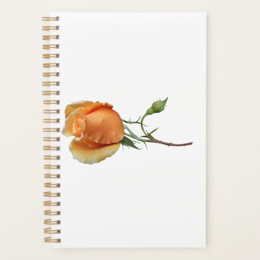 Ein Single Rose Schneiden Planer (Vorderseite)