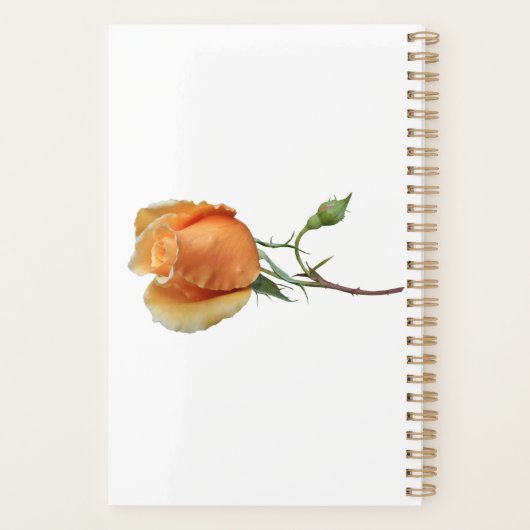 Ein Single Rose Schneiden Planer (Rückseite)