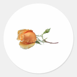 Ein Single Rose Schneiden Runder Aufkleber