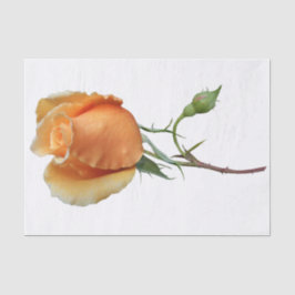 Ein Single Rose Schneiden Seidenpapier