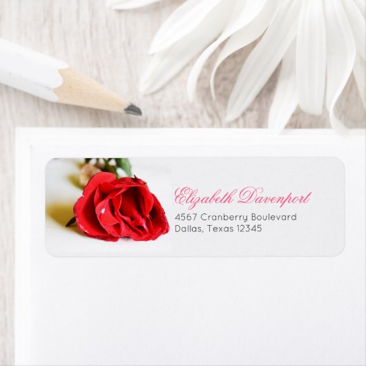 Ein Single Rote Rose Minimalistisch Elegant (Insitu)