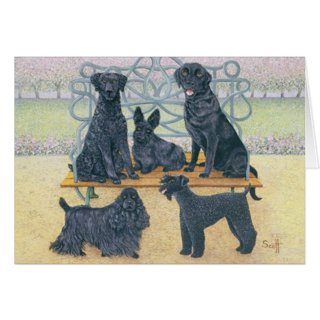 Ein Sitz im Park (Vorderseite (Horizontal))