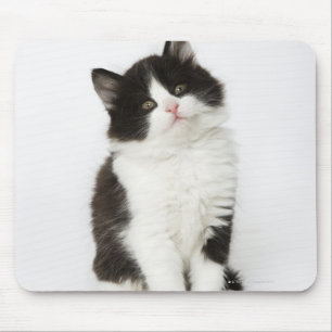 Ein sitzendes Untersuchung des jungen Kätzchens Mousepad