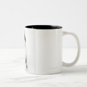 Ein sitzendes Untersuchung des jungen Kätzchens Zweifarbige Tasse