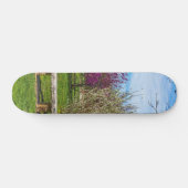 Ein Sitzplatz in der Frühlingssaison Skateboard (Horizontal)