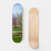 Ein Sitzplatz in der Frühlingssaison Skateboard (Vorderseite)