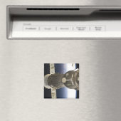 Ein Sojus-Raumfahrzeug, das von der Erde zurückgel Magnet (In Situ (Geschirrspüler))