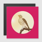 Ein Songdrossel saß auf einem Zweig Magnetkarte (Vorne/Hinten)