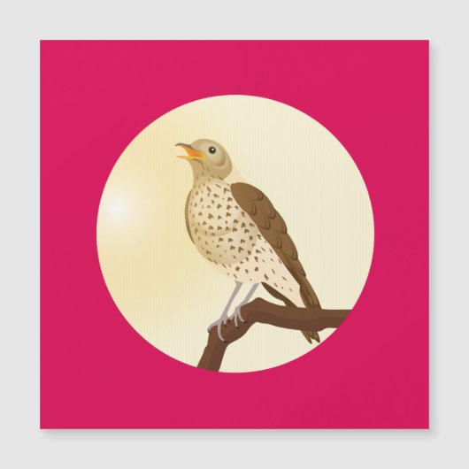 Ein Songdrossel saß auf einem Zweig Magnetkarte (Vorderseite)