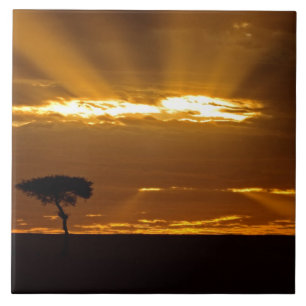 Ein Sonnenaufgang mit offenem Maul im Maasai Mara Fliese