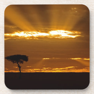 Ein Sonnenaufgang mit offenem Maul im Maasai Mara Getränkeuntersetzer