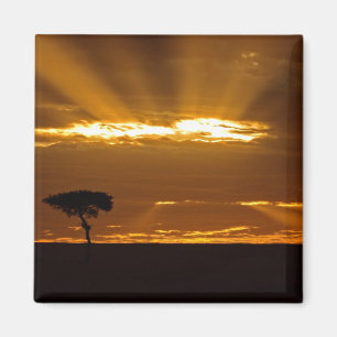 Ein Sonnenaufgang mit offenem Mund in der Maasai M Magnet