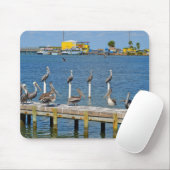 Ein Sonnenbad nehmende Pelikane Mousepad (Mit Mouse)