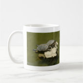 Ein Sonnenbad nehmende Schildkröten Kaffeetasse (Links)