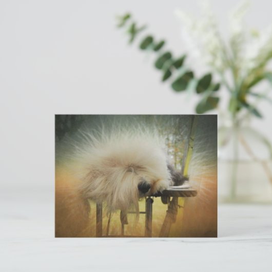 Ein Sonnensturm! Postkarte (Stehend Vorderseite)