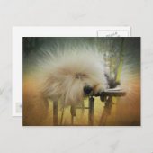 Ein Sonnensturm! Postkarte (Vorne/Hinten)