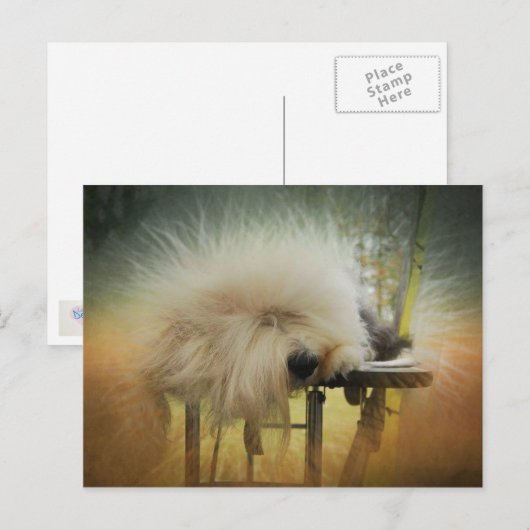 Ein Sonnensturm! Postkarte (Vorne/Hinten)