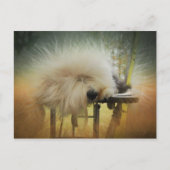 Ein Sonnensturm! Postkarte (Vorderseite)