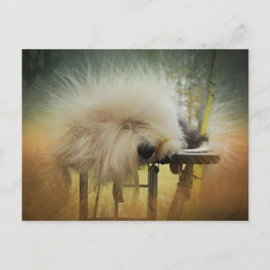 Ein Sonnensturm! Postkarte (Vorderseite)