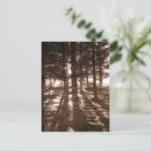 Ein Sonnenuntergang im Wald Postkarte. Postkarte (Stehend Vorderseite)