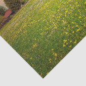 Ein Sonnenuntergang mit weißem und gelbem Blume-Fe Seidenpapier (Ausschnitt)