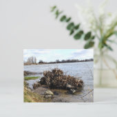 Ein sonniger Tag am Fluss Postkarte (Stehend Vorderseite)