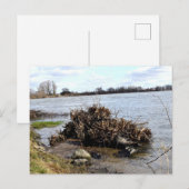 Ein sonniger Tag am Fluss Postkarte (Vorne/Hinten)