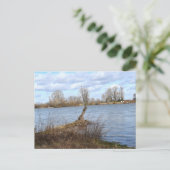 Ein sonniger Tag am Fluss Postkarte (Stehend Vorderseite)