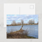Ein sonniger Tag am Fluss Postkarte (Vorne/Hinten)