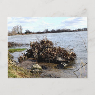 Ein sonniger Tag auf dem Fluss Postkarte