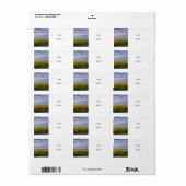 Ein sonniges Sonnenblumenfeld Adressaufkleber (Vorne)