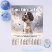Ein Spaniel-Abreißflyer gefunden Flyer (Einzeln)
