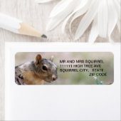 EIN SPARKIE-ETIKETT (Insitu)