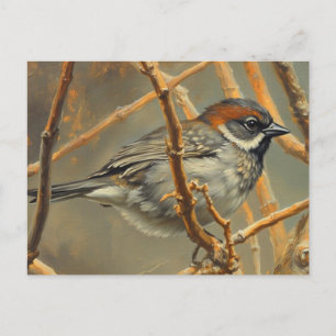Ein Spatz, ausruhend, sitzt auf einem Buschzweig Postkarte