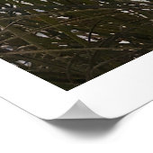 Ein Spaziergang am Strand Poster (Ecke)