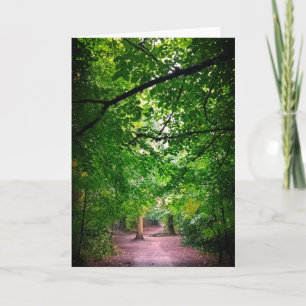 Ein Spaziergang durch den Wald Karte