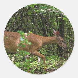 Ein Spaziergang durch den Wald Runder Aufkleber