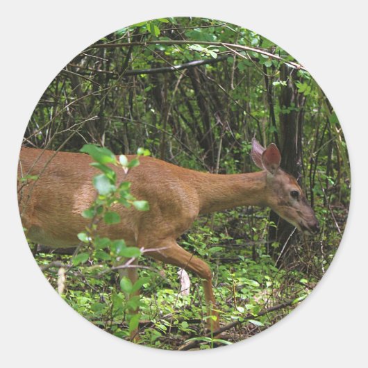 Ein Spaziergang durch den Wald Runder Aufkleber (Vorderseite)