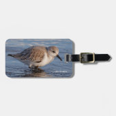 Ein Spaziergang durch die Stadt Gepäckanhänger (Vorderseite horizontal)