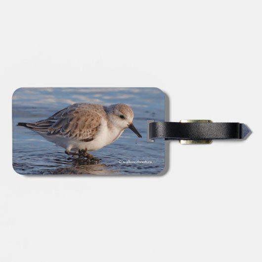 Ein Spaziergang durch die Stadt Gepäckanhänger (Rückseite horizontal)