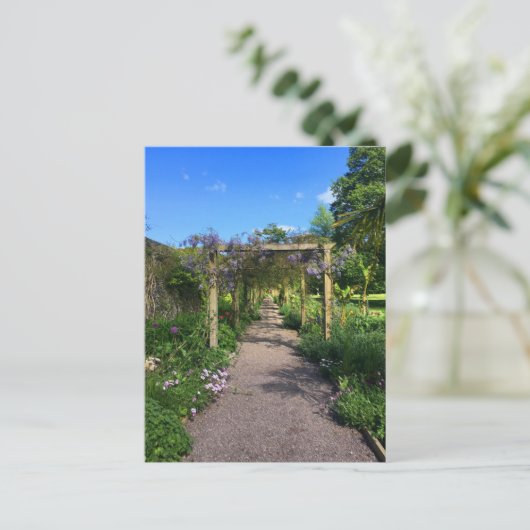Ein Spaziergang durch Wisteria Postkarte (Stehend Vorderseite)