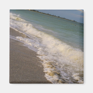 Ein Spaziergang entlang des Strandes St Pete Magnet