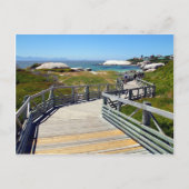 Ein Spaziergang hinunter zum Boulders Beach, Südaf Postkarte (Vorderseite)